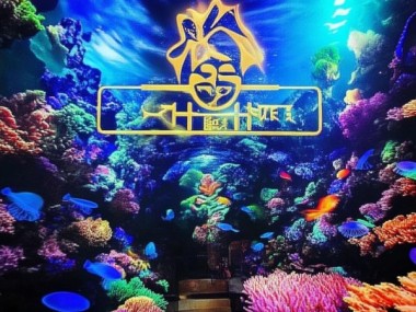 海底捞，创新餐饮的典范——案例与启示