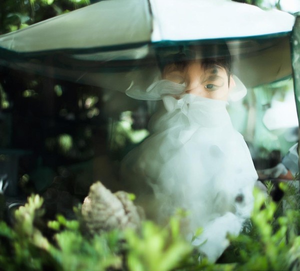 新广告公司,创新与成功的象征 新广告公司,创新与成功的象征